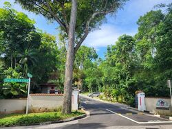Turf Club Road (D11), Detached #480987761